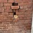 Streetartgeelong