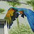 streetartwalks